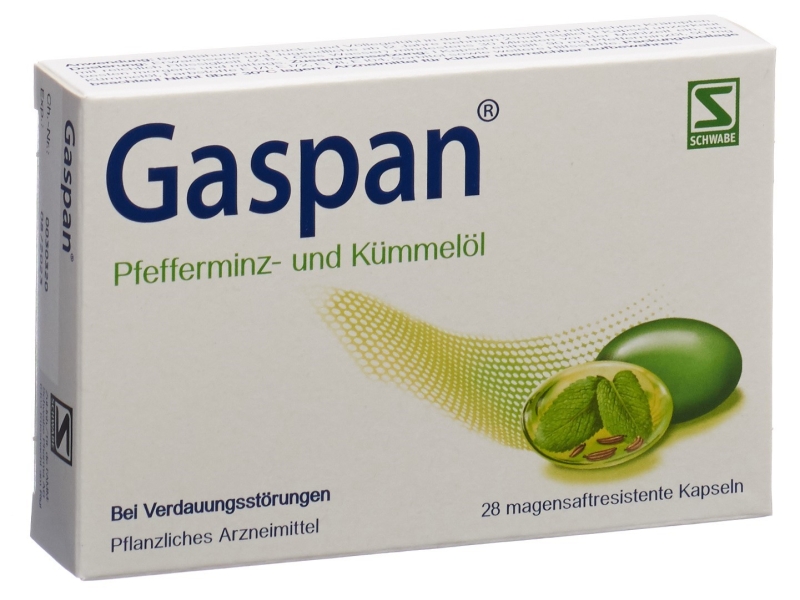 GASPAN capsules gastro-résistantes 28 pièces
